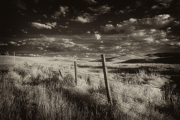 Prairie #1