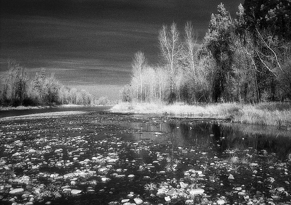 Bitterroot River Lee Metcalf